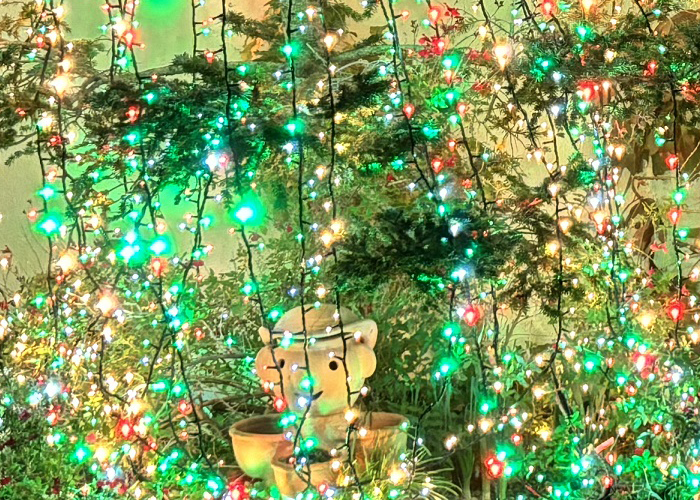 オイリュトミー公演会