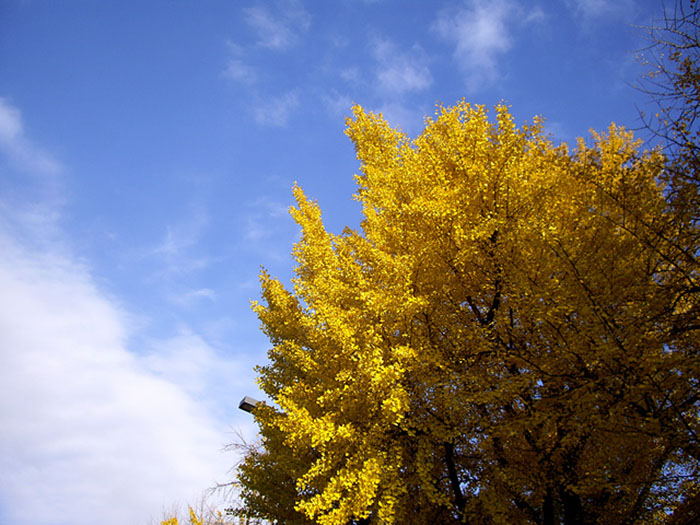 第３回土曜パーティー